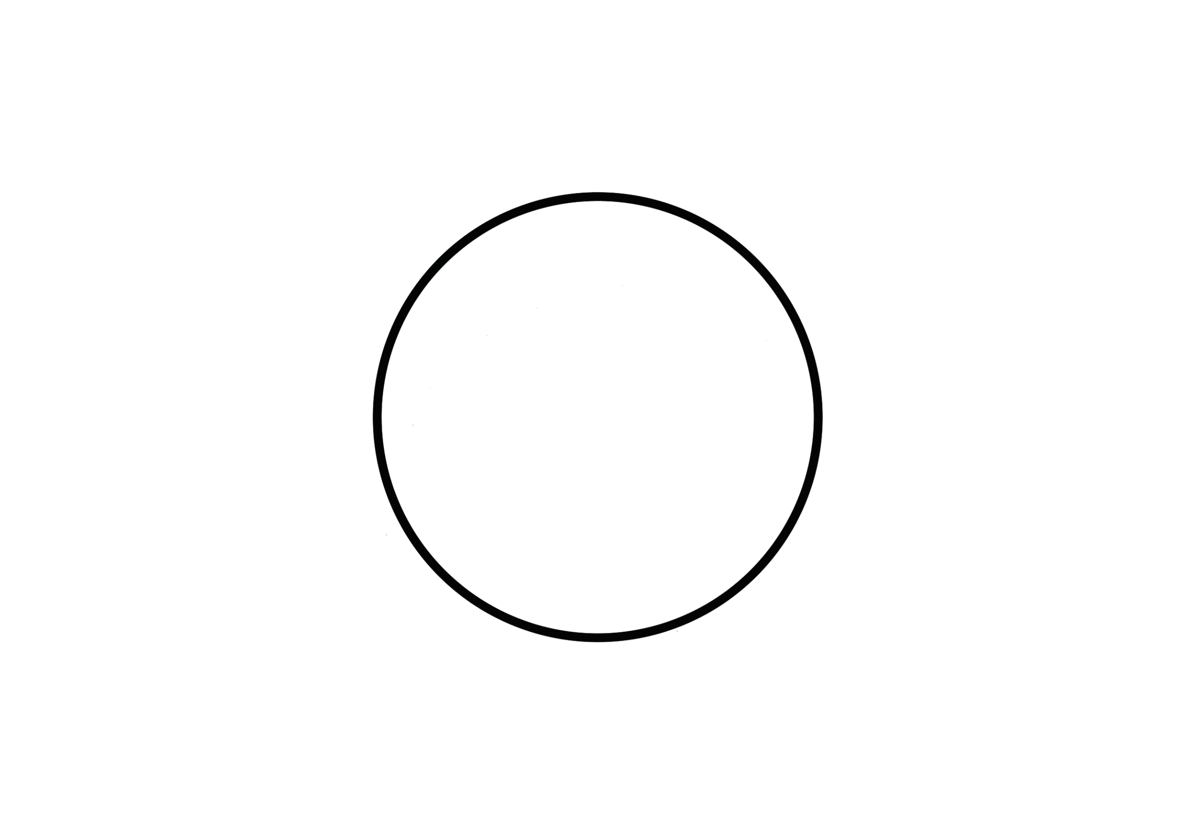 Intro Animation